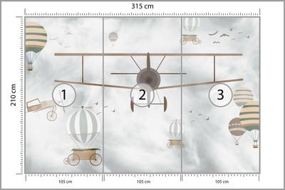 Plan & Dimensions