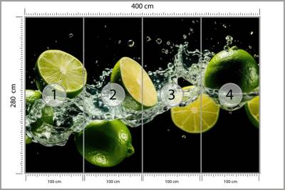 Plan & Dimensions