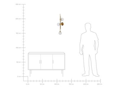 Plan & Dimensions