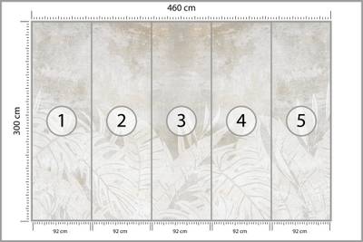 Plan & Dimensions