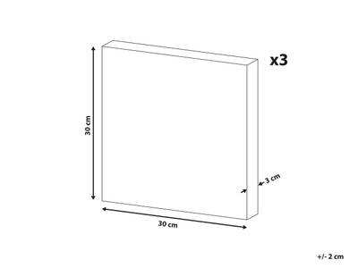 Plan & Dimensions