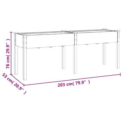 Plan & Dimensions