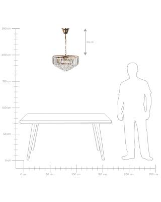 Plan & Dimensions