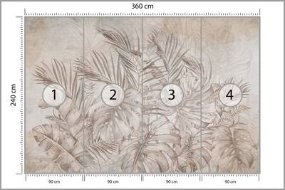 Plan & Dimensions