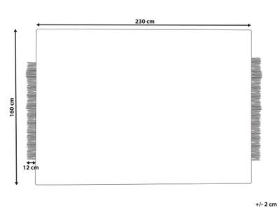 Plan & Dimensions