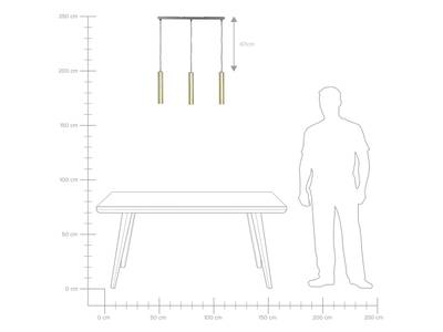 Plan & Dimensions