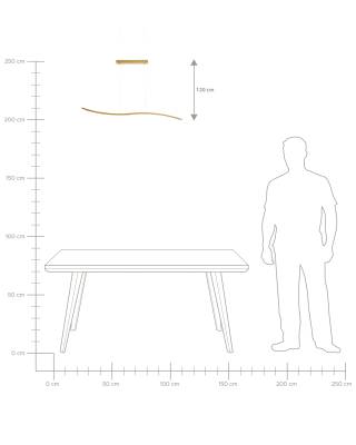 Plan & Dimensions