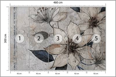 Plan & Dimensions