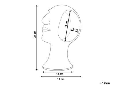 Plan & Dimensions