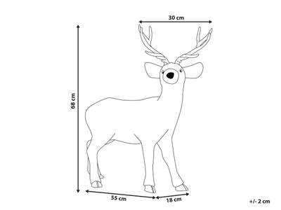 Plan & Dimensions