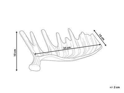 Plan & Dimensions