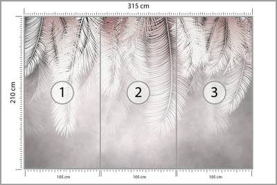 Plan & Dimensions