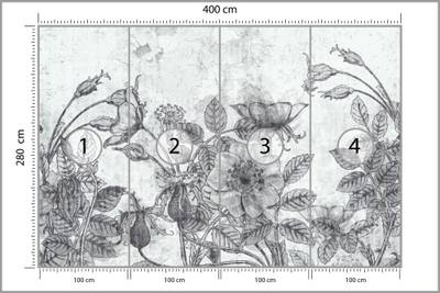 Plan & Dimensions