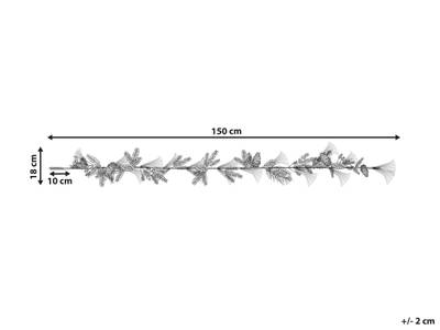 Plan & Dimensions