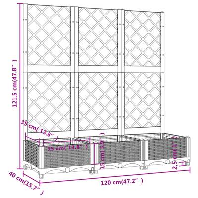 Plan & Dimensions