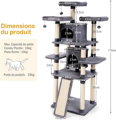 Plan & Dimensions