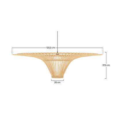 Plan & Dimensions