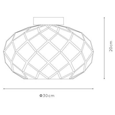 Plan & Dimensions