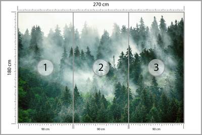 Plan & Dimensions