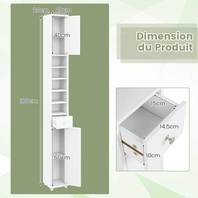 Plan & Dimensions