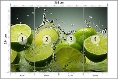 Plan & Dimensions