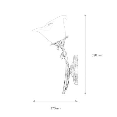 Plan & Dimensions