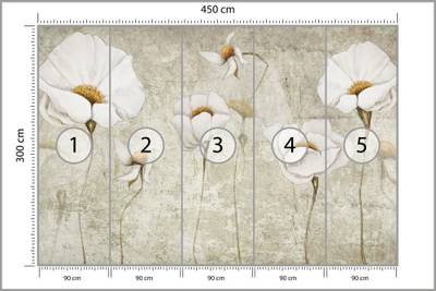 Plan & Dimensions