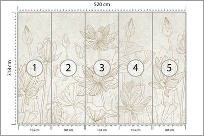 Plan & Dimensions