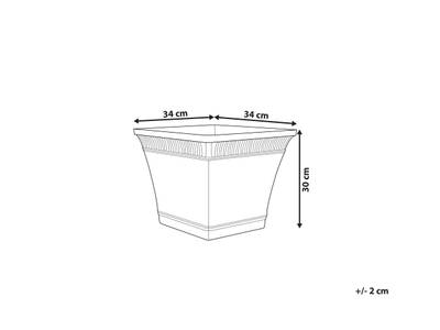 Plan & Dimensions