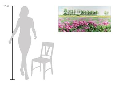 Plan & Dimensions