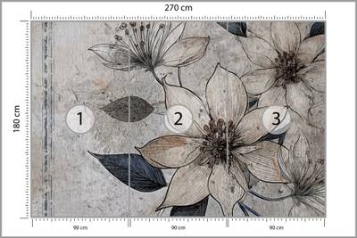 Plan & Dimensions