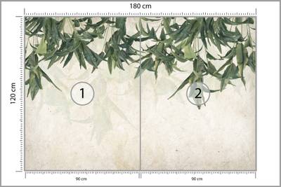 Plan & Dimensions