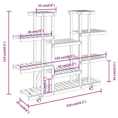 Plan & Dimensions