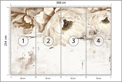 Plan & Dimensions