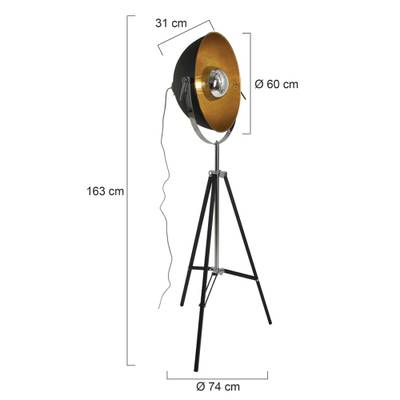 Plan & Dimensions