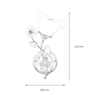 Plan & Dimensions