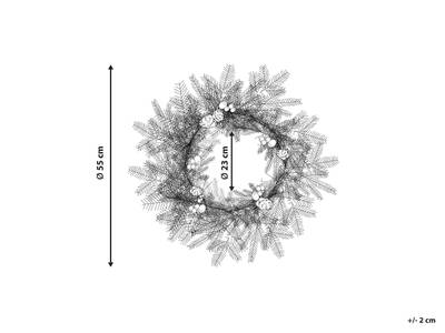 Plan & Dimensions