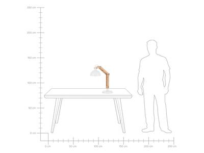 Plan & Dimensions