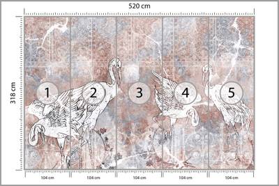 Plan & Dimensions