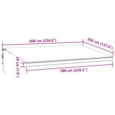 Plan & Dimensions