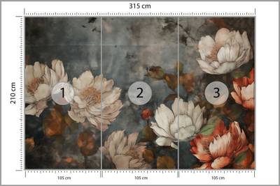 Plan & Dimensions