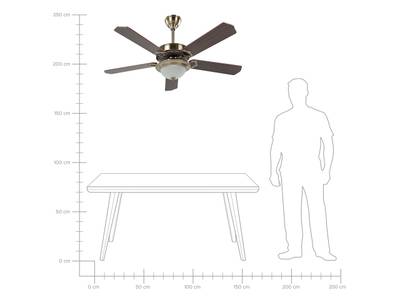 Plan & Dimensions