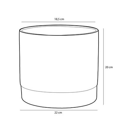 Plan & Dimensions