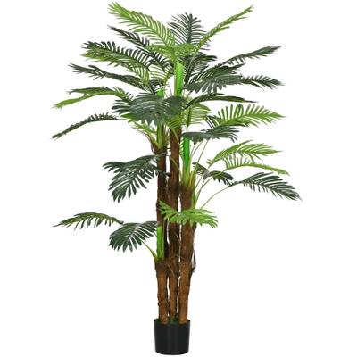kirschlorbeer niedrige sorten Kirschlorbeer Herbergii (Prunus laurocerasus 'Herbergii') | 100-125 cm im  Topf