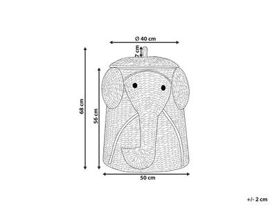 Plan & Dimensions