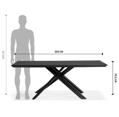 Plan & Dimensions