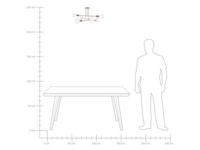 Plan & Dimensions