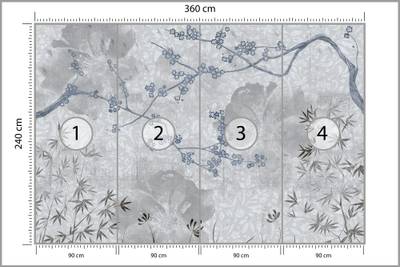 Plan & Dimensions