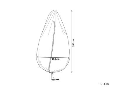 Plan & Dimensions