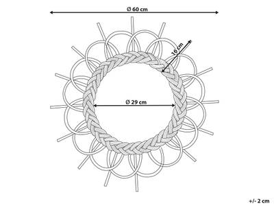 Plan & Dimensions